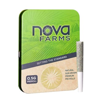 Amazing Haze [.5g] by Nova Farms