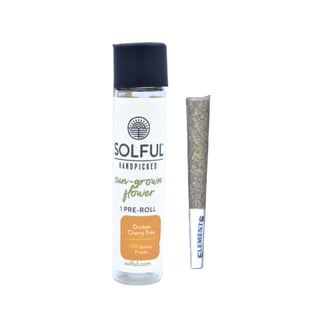 Solful Handpicked — Durban Cherry Tree Single