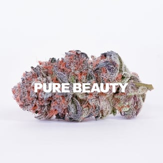 Pure Beauty: Gush Mints