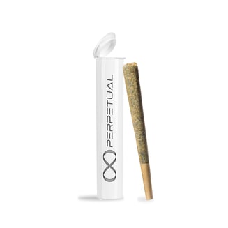 Chocolope [1g] by Perpetual