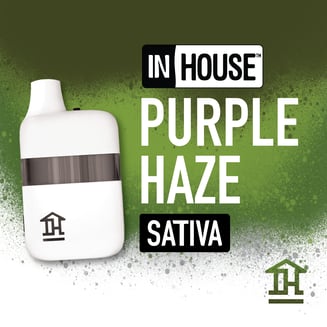 Purple Haze [2000mg] by InHouse