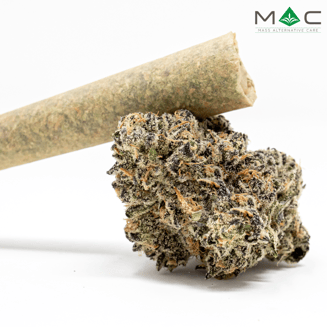 Z Animal x Bully Kush [1g] by Mass Alternative Care (MAC)