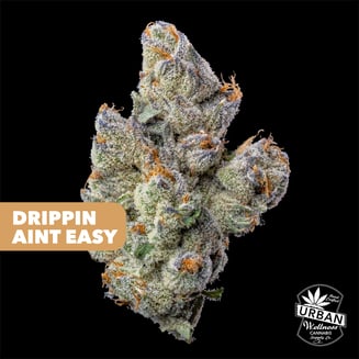 Drippin Aint Easy by Urban Wellness