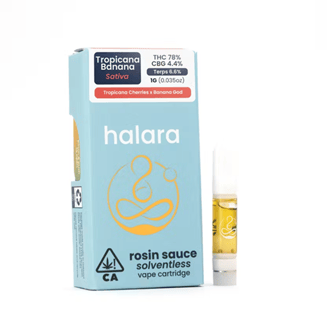 Halara: Tropicana Banana