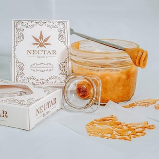 Catpiss x Grape Cream Cake by Nectar Farms