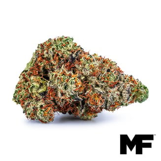 Modern Flower — Blue Beach Haze