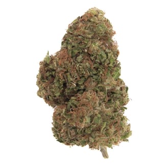 "Cake Berry Brûlée" [1g] by Lovewell Farms