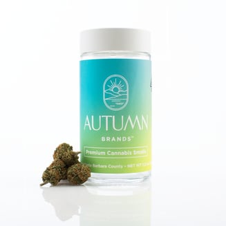 Autumn Brands — Granny Treatz