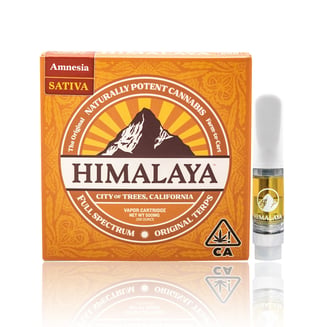 Himalaya: Amnesia