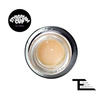 Team Elite Genetics: Styrofoam Cup
