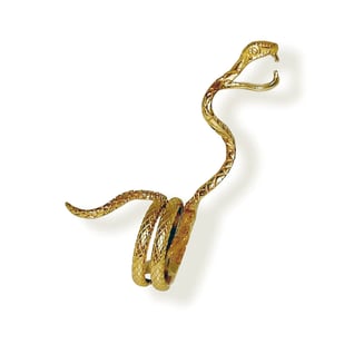 Snake in the Grass Brass Holder Ring