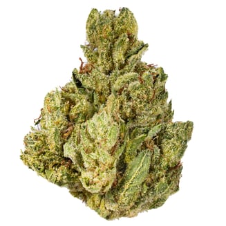 West Coast Cure: True OG