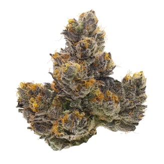 Fig Farms — Couch Rider