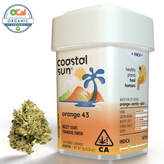 Coastal Sun: Orange 43
