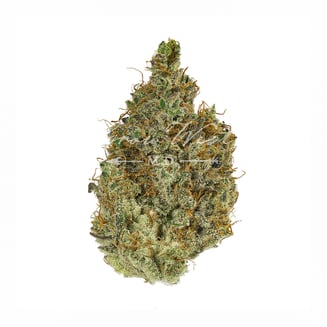 Neapolitan Space Cream by Grow West