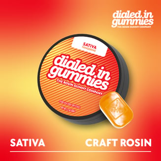 100mg - Tangerine - Rosin Gummies (10pk) by Dialed In Gummies