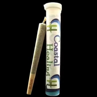 Chow Mein [1g] by Coastal Healing