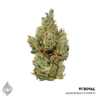 91 Royale by Parea