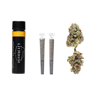 Apple Sunset Pre-Roll Pack by LitHouse