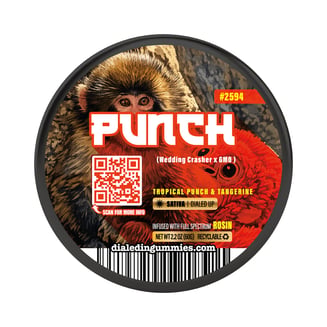100mg - Punch #2594 - Rosin Gummies (10pk) by Dialed In Gummies