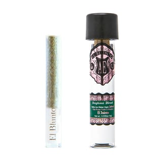 El Blunto — Jointo - Daytona Diesel