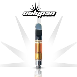 Cosmopolitan by Calypso