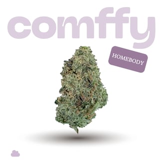 Comffy | Flower 7g | Homebody 00265 by comffy