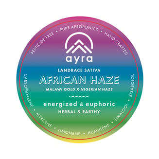 African Haze by Ayra
