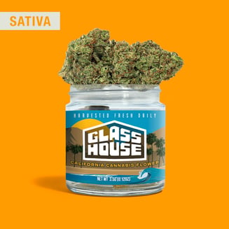 Glass House Farms: Super Sour Diesel