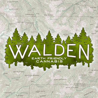 1:1 CBD Pineapple Ice Cream [.7g] by Walden