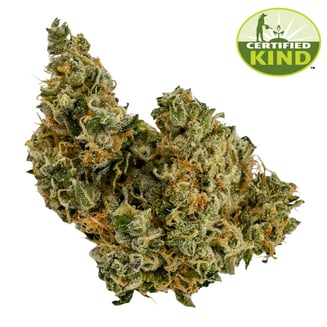 Jungle Garlic by FarmaceuticalRx