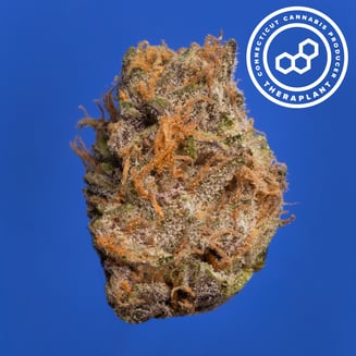 D Inferno 4502 by Theraplant