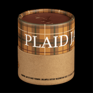 Don Quixote by Plaid Jacket