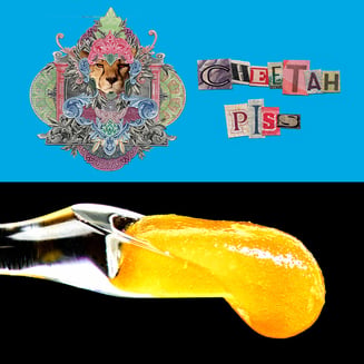 Cookies — Cheetah Piss
