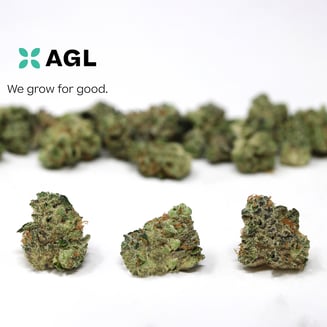 AGL 7g SF White Durban (S) 00563 by Advanced Grow Labs (AGL)