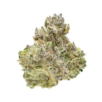 GG by Terrapin