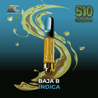 Baja B by CERTIFIED