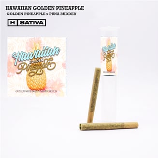 Hawaiian Golden Pineapple [.5g] by Phat Panda