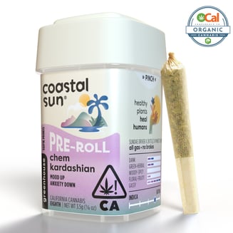 Coastal Sun — Chem Kardashian