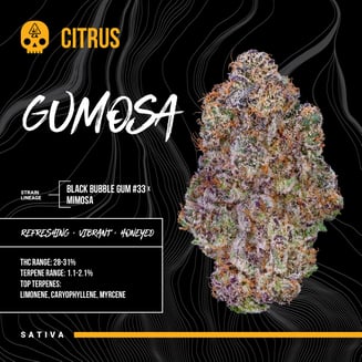Bosky Genetics — Gumosa
