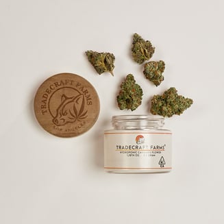 Apple Fritter by Tradecraft Farms
