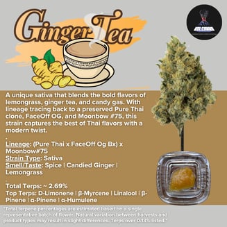 Sauce Baller Jar - Ginger Tea [4g] - Cured Resin by Volcanna
