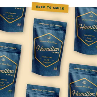 Apple Jelly by Hamilton Farms