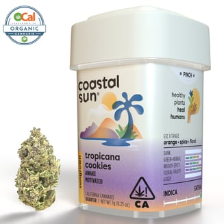 Coastal Sun — Tropicana Cookies