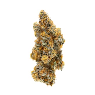 *MTHC Tangieland by Terrapin