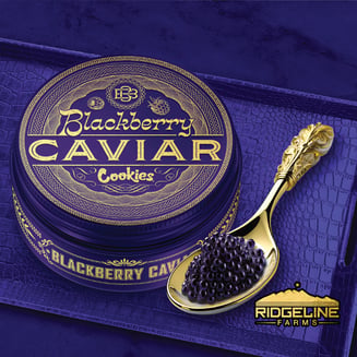Cookies — Blackberry Caviar