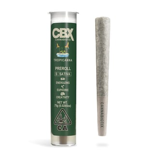 CBX Cannabiotix — Tropicanna