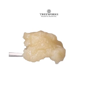 007 UP | Live Rosin Jam by Treeworks