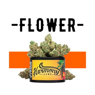 Kali Kush by Harmony Farms