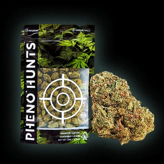 Pheno Hunts — Banana OG